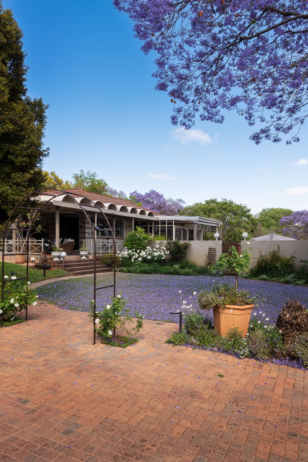 Garden pathway beneath the rose arbour